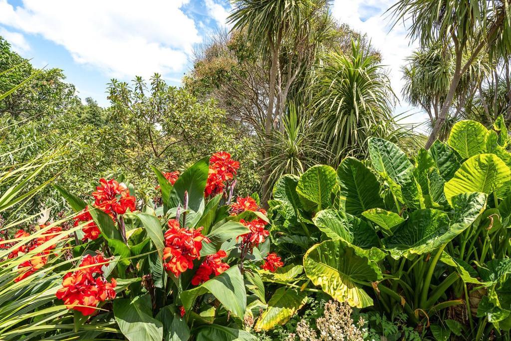 Oneroa Bay Villa Waiheke Exterior photo