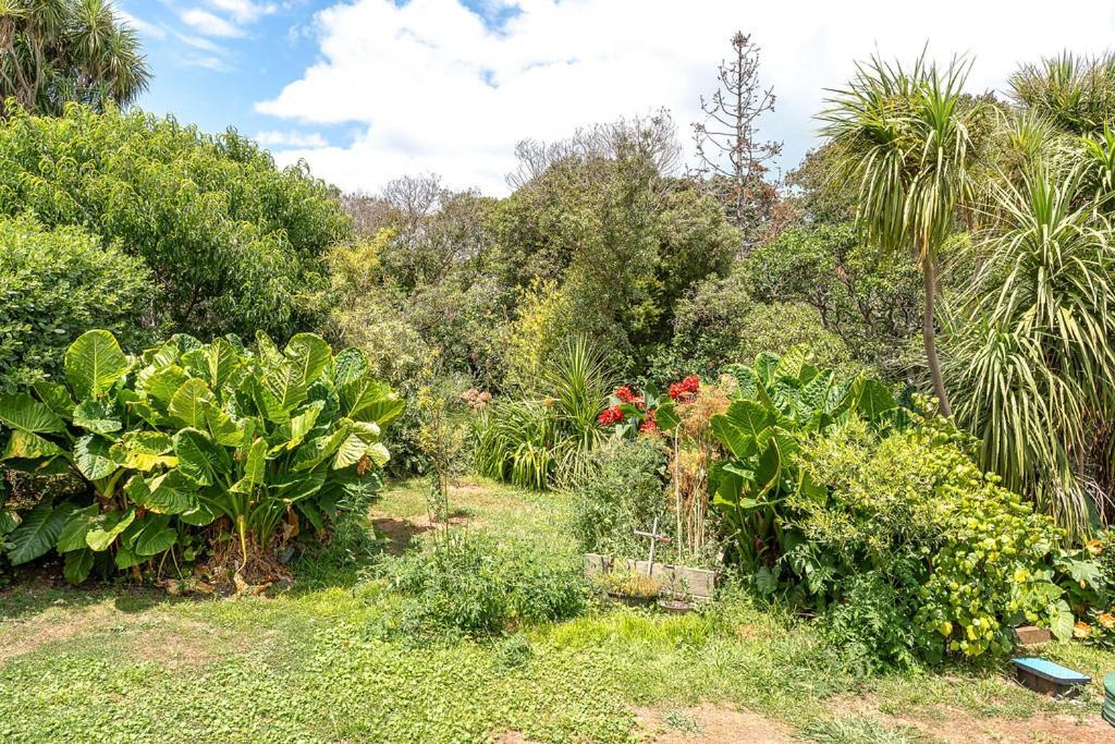 Oneroa Bay Villa Waiheke Exterior photo