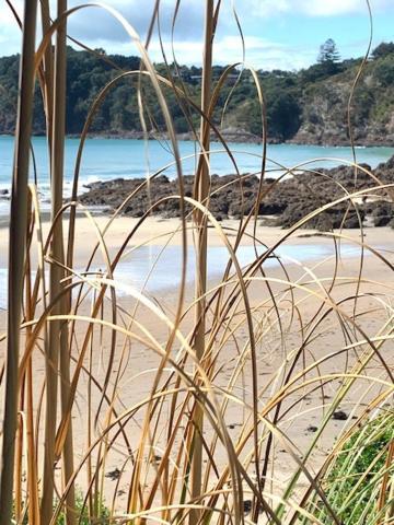 Oneroa Bay Villa Waiheke Exterior photo